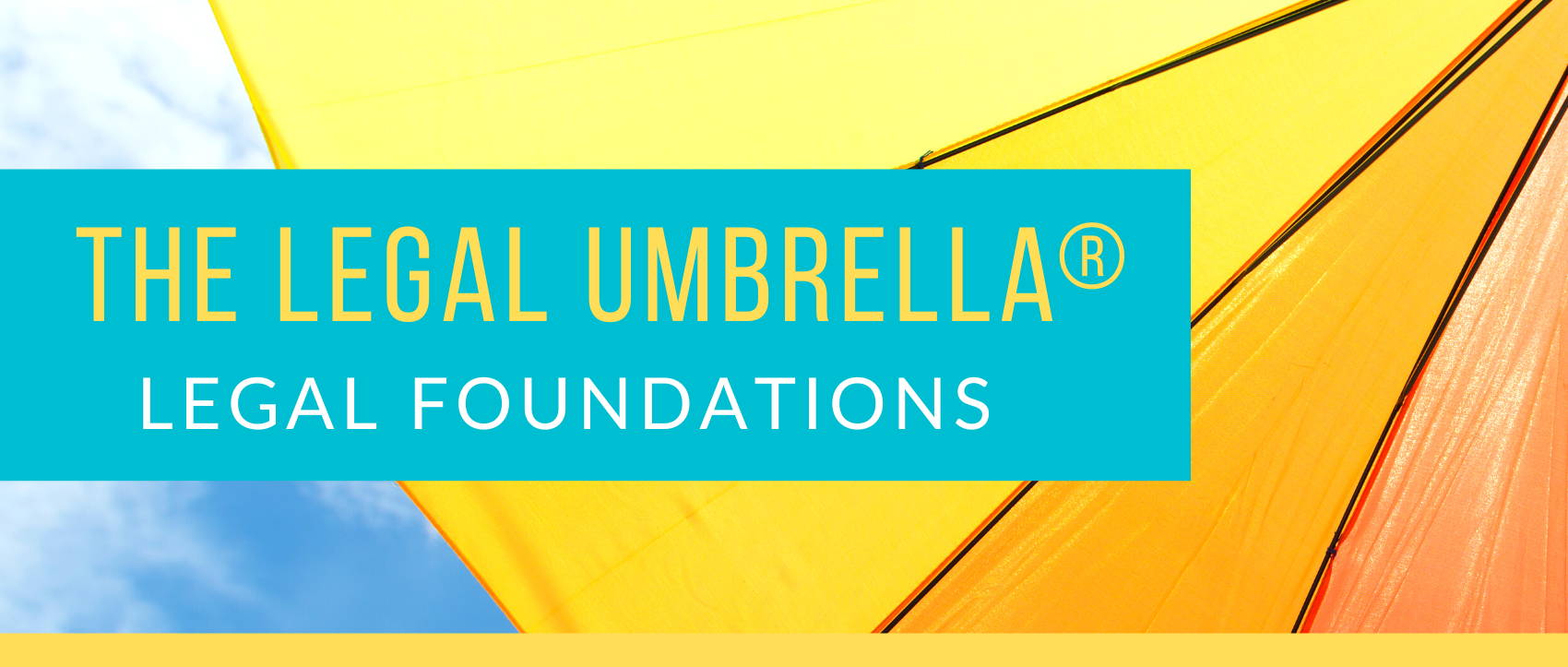 The Legal Umbrella Layne Lyons Inc